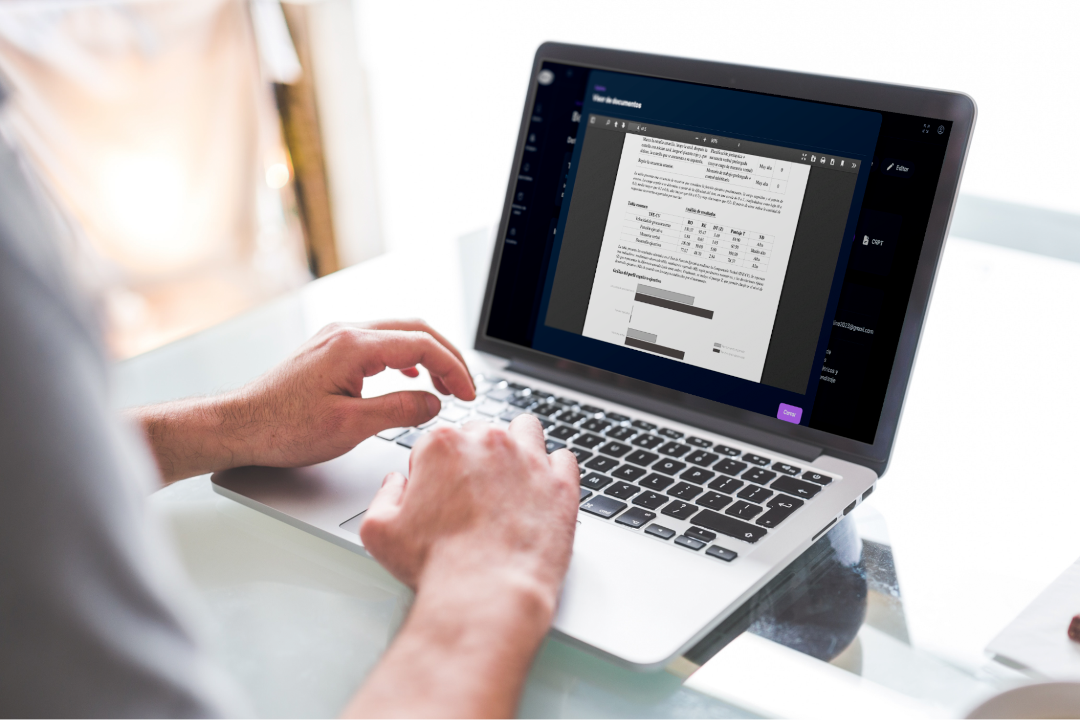 Resultados visuales de la prueba